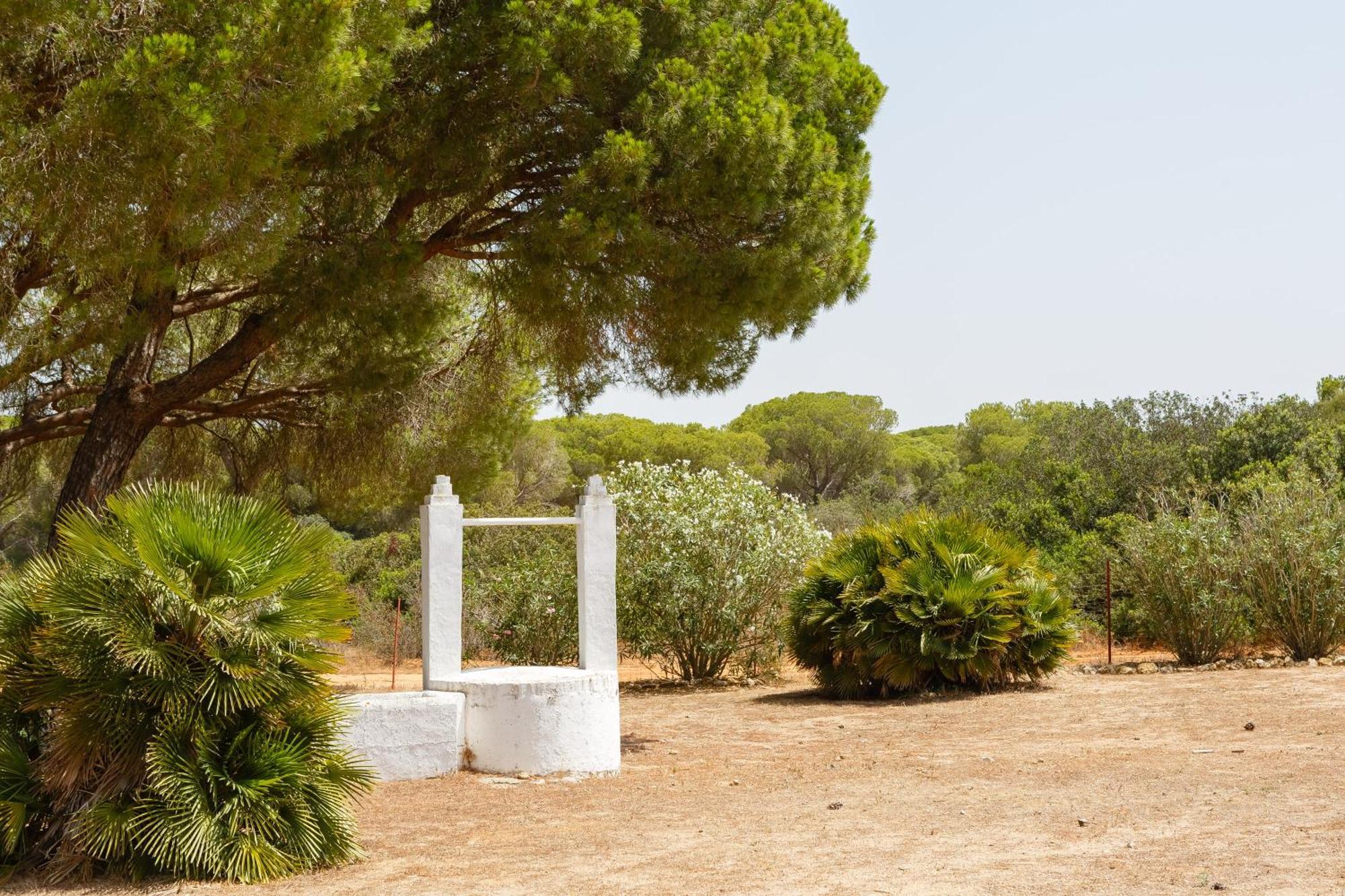 Casa Dehesa De Las Yeguas カディス エクステリア 写真