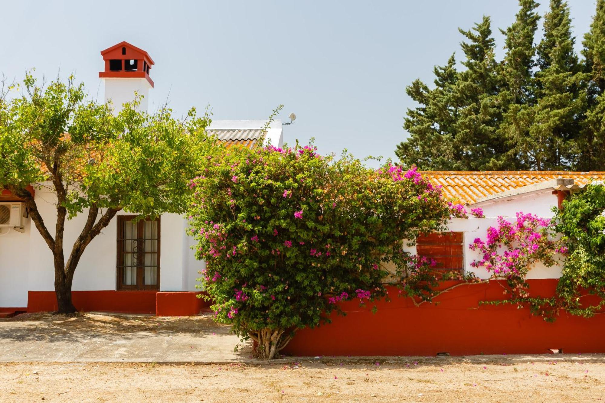Casa Dehesa De Las Yeguas カディス エクステリア 写真